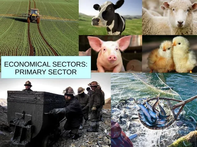 Sectors of Indian Economy
