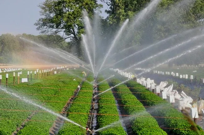 Different Irrigation Systems in Agriculture GIFT City Different Irrigation Systems