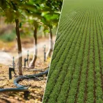 Different Irrigation Systems