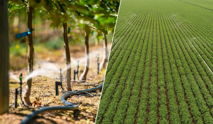 Different Irrigation Systems in Agriculture GIFT City Different Irrigation Systems