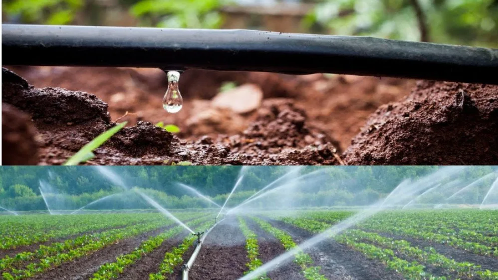 Different Irrigation Systems in Agriculture GIFT City Different Irrigation Systems