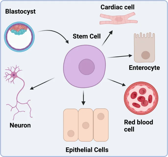 Ethical Issues in Biotechnology