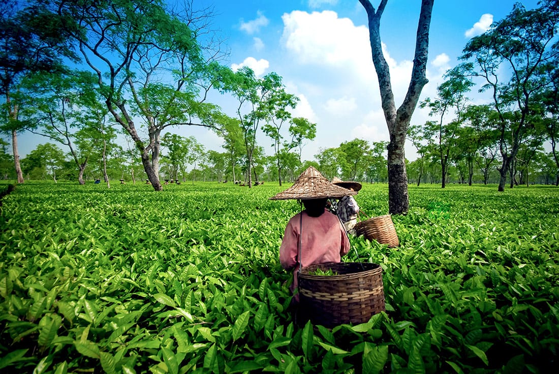 Assam