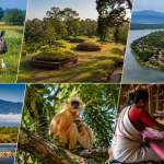 UNESCO Heritage Sites Related to Assam