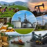 Major Industries of Assam