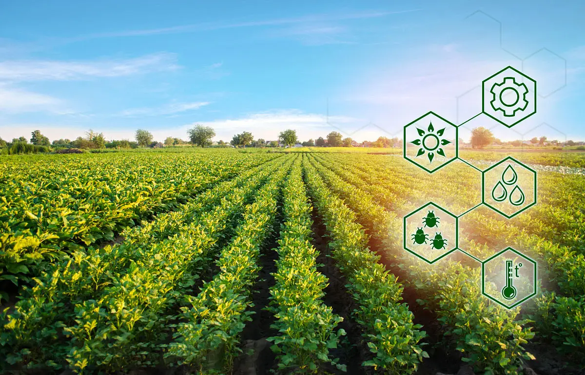 Earth Sciences: Cyclones, Weather and Ocean Research Foodgrain Production Target Earth Science