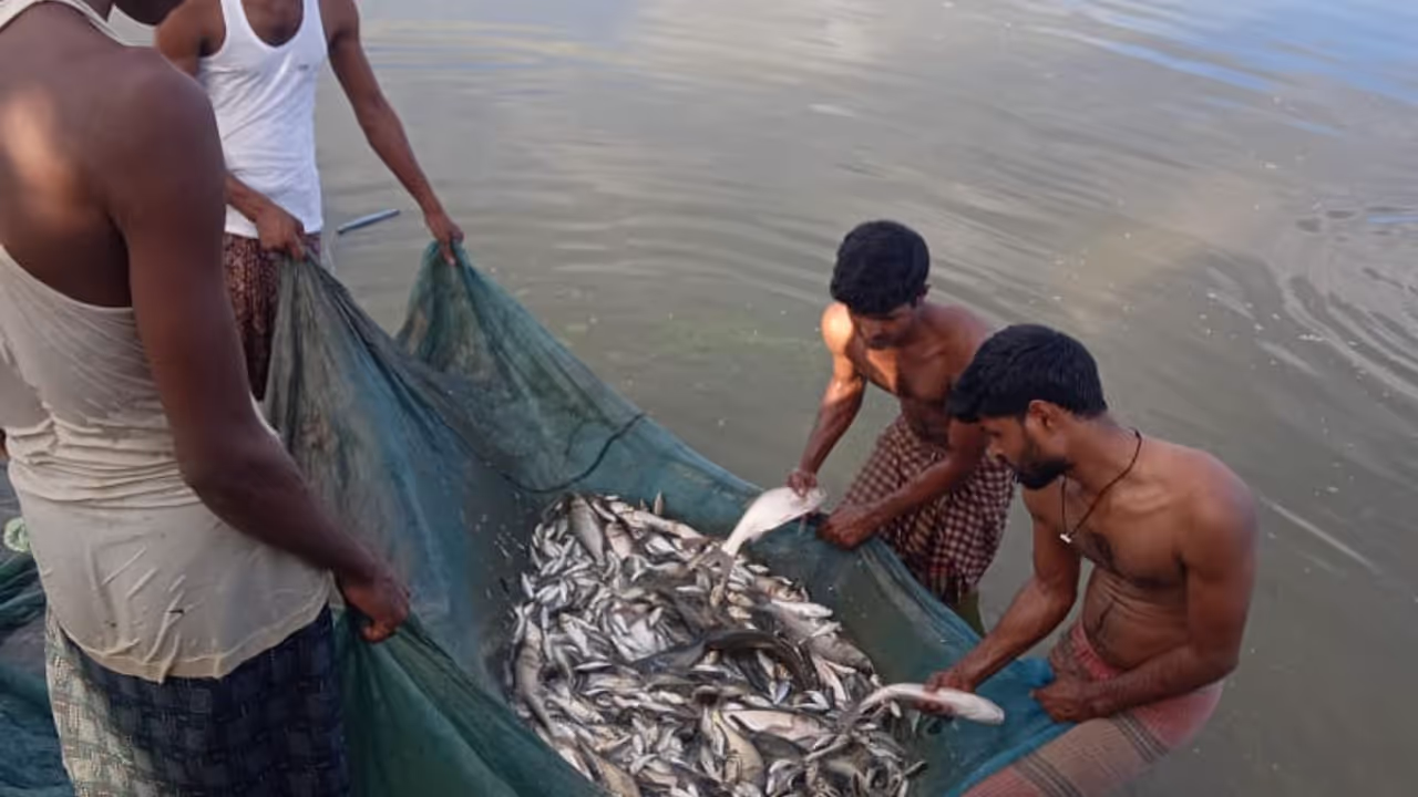 Assam Economy GK: Tea, Oil, Agriculture and Industries Sitaram Raul Assam Economy GK