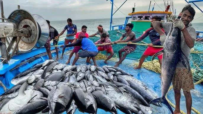  Fisheries 