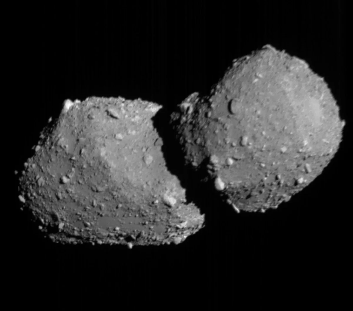 Hayabusa2 Flyby