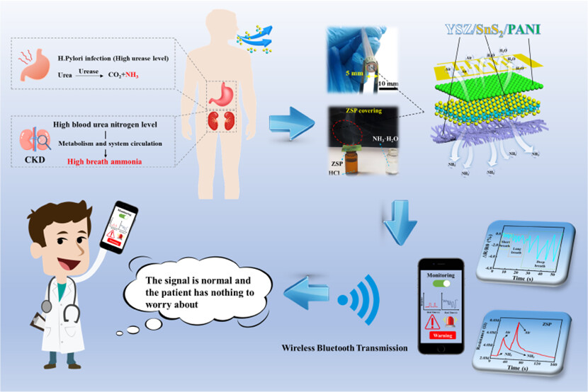 Wearable Ammonia Sensor India