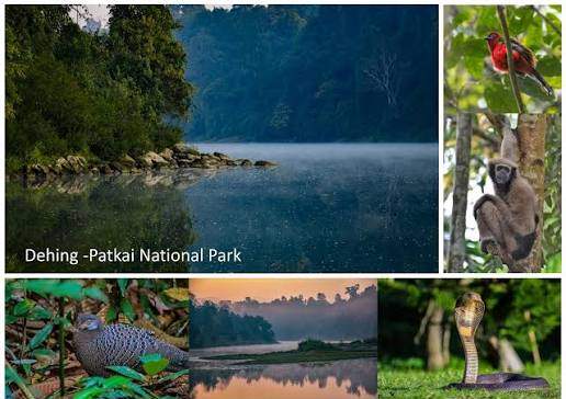 Complete List of Assam National Parks and Wildlife Sanctuaries (2026) Sitaram Raul Assam National Parks and Wildlife Sanctuaries
