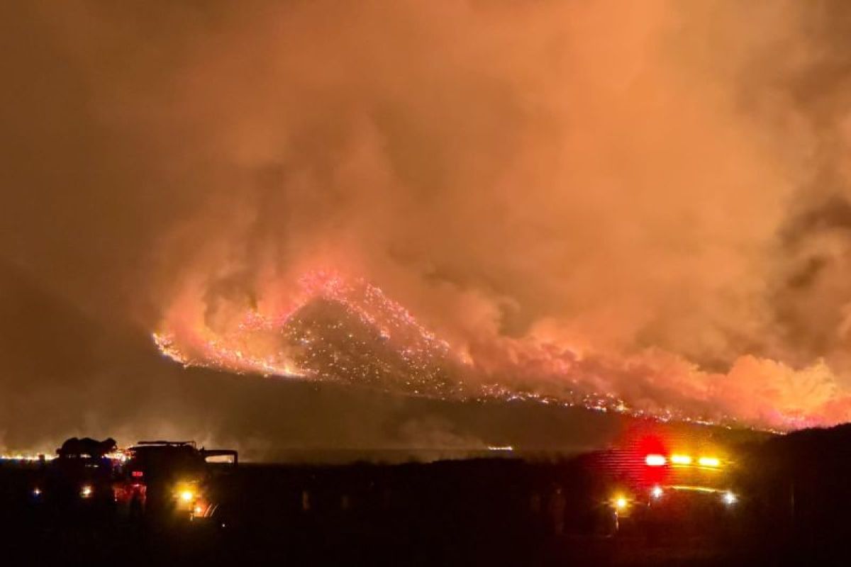 Mount Bromo Wildfire 2026