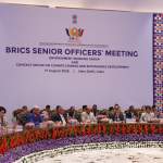 BRICS Environment