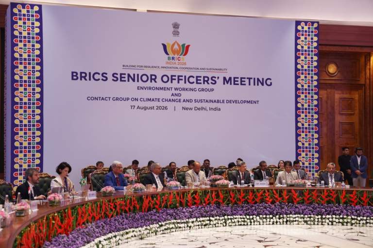 BRICS Environment