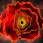 Black Hole Star