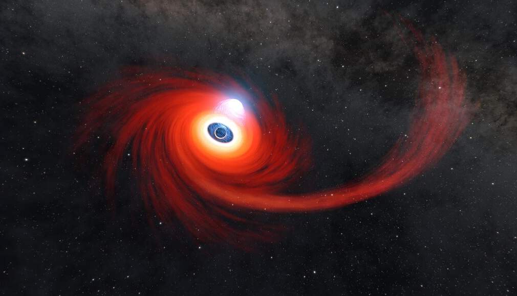 Black Hole Star
