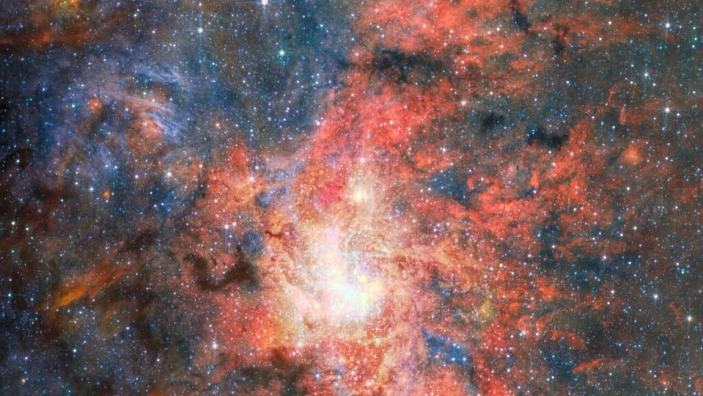 Black Hole Star