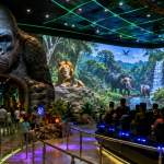 Indore Virtual Zoo
