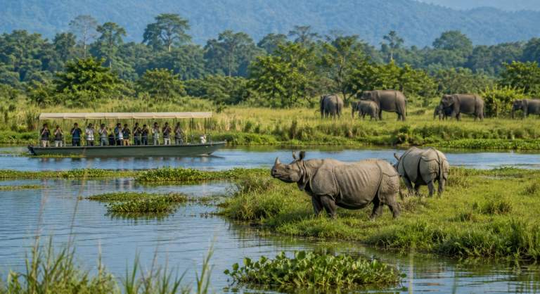 Kaziranga ESZ