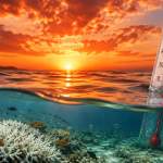 Record Ocean Temperature
