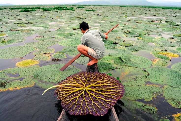 Deepor Beel