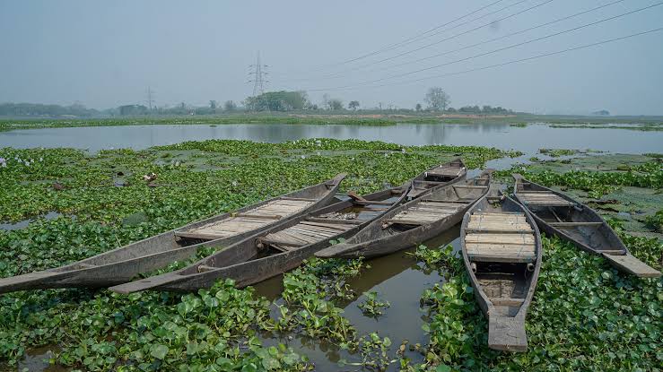Deepor Beel
