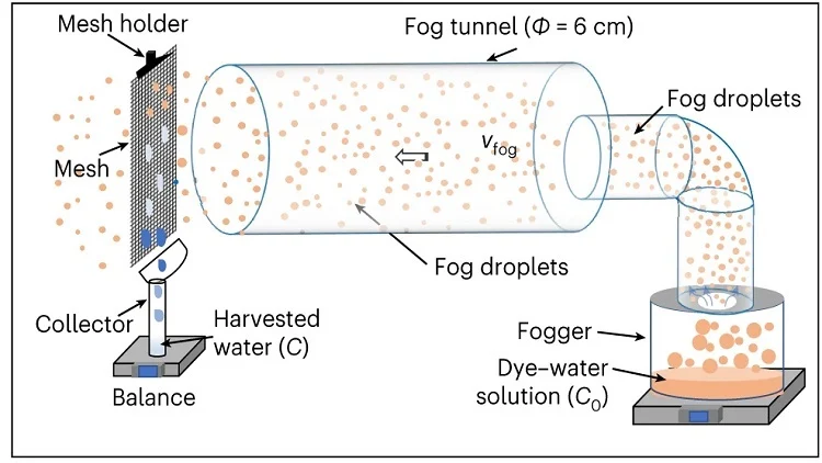 Fog Harvesting