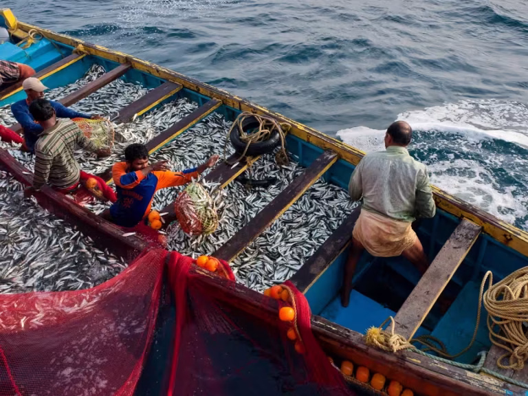 India-Seychelles fisheries