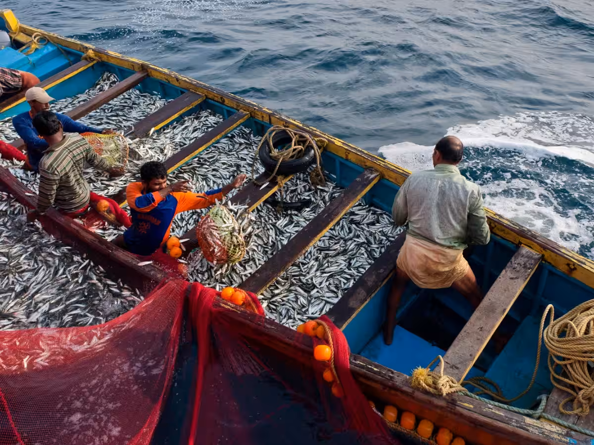 India-Seychelles fisheries