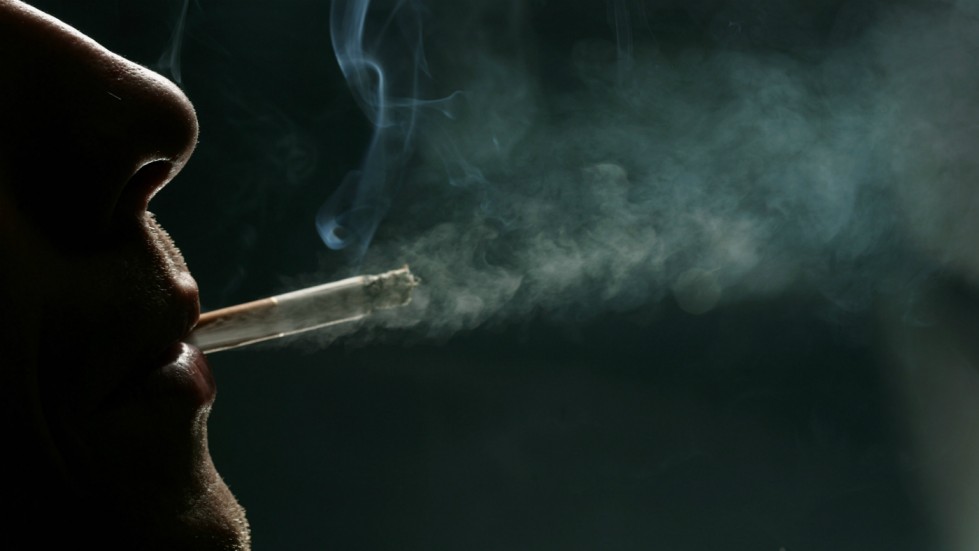 Karnataka Tobacco Ban