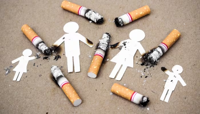 Karnataka Tobacco Ban