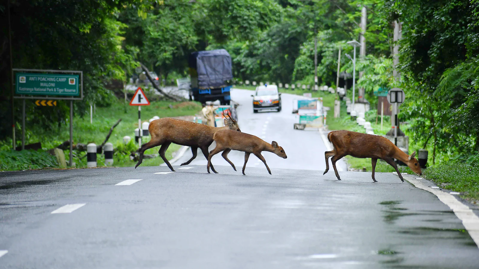 Kaziranga ESZ Plan Sparks Local Debate Kaziranga ESZ