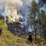 Mount Bromo Wildfire 2026