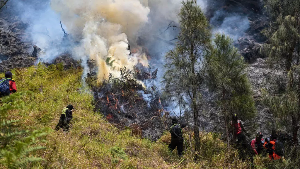 Mount Bromo Wildfire 2026
