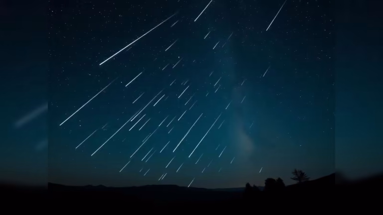 Perseid Meteor Shower