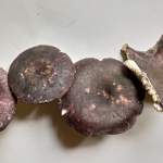 Russula griseopurpurata