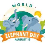 World Elephant Day