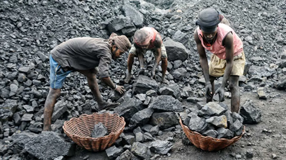 Critical Coal Stock