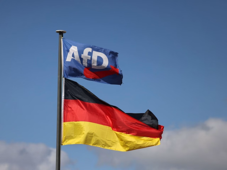 AfD Ukraine Aid