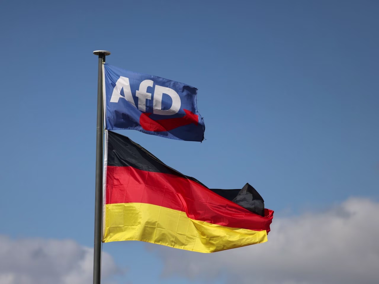AfD Ukraine Aid
