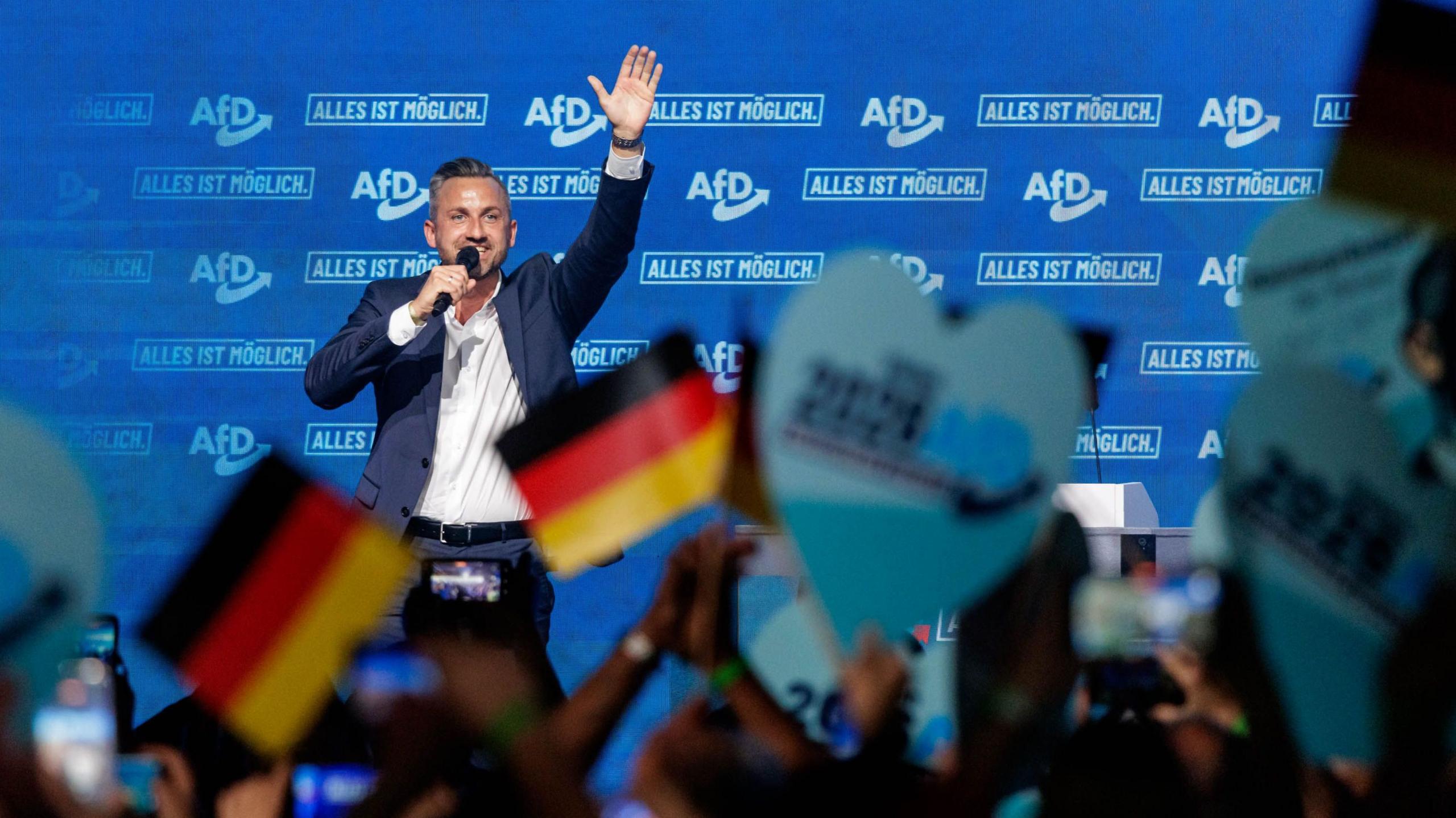 AfD Ukraine Aid