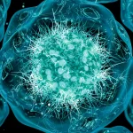 Cyclosporiasis Outbreak