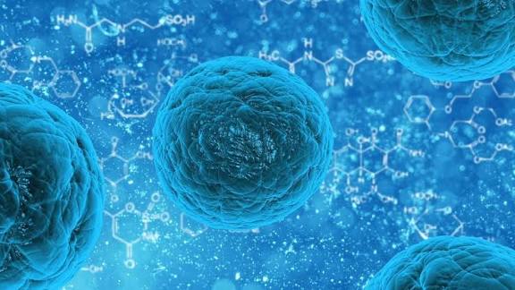 DARE Cells: New Clues to Tissue Regeneration U15 Women’s Youth League DARE Cells
