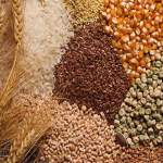 Foodgrain Production Target