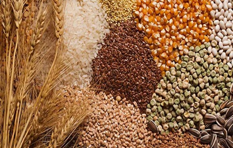Foodgrain Production Target