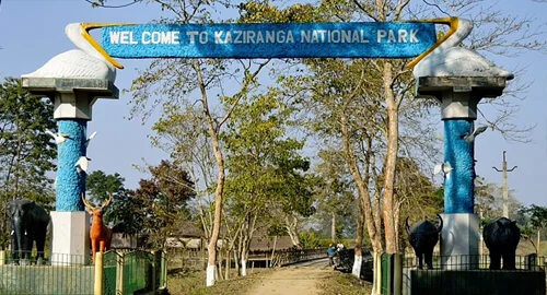 Rhino Population: Assam Records 3,260 Swachhata Hi Seva Rhino Population