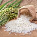 Tripura Organic Rice