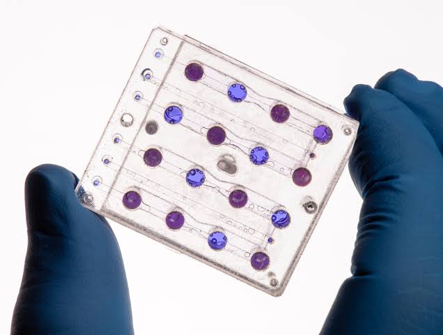 BioSentinel Mission