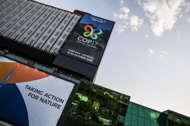 CBD COP-17