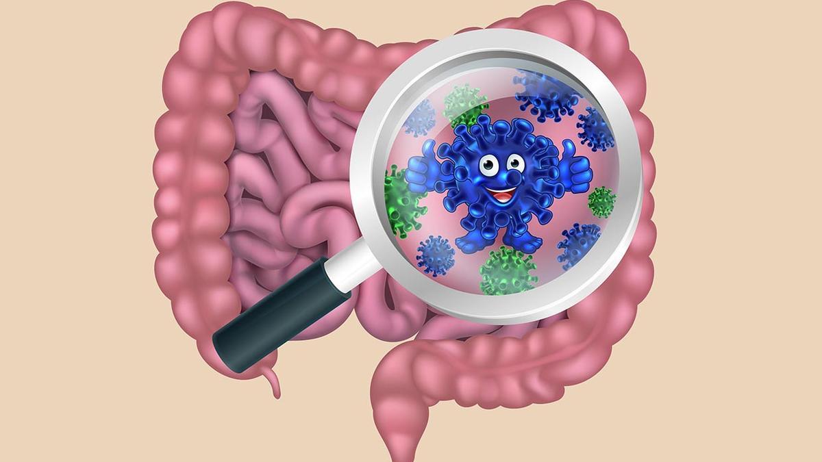 Gut Bacteria: Parkinson’s Study in Kerala Khelo India Sports Goods Scheme Gut Bacteria